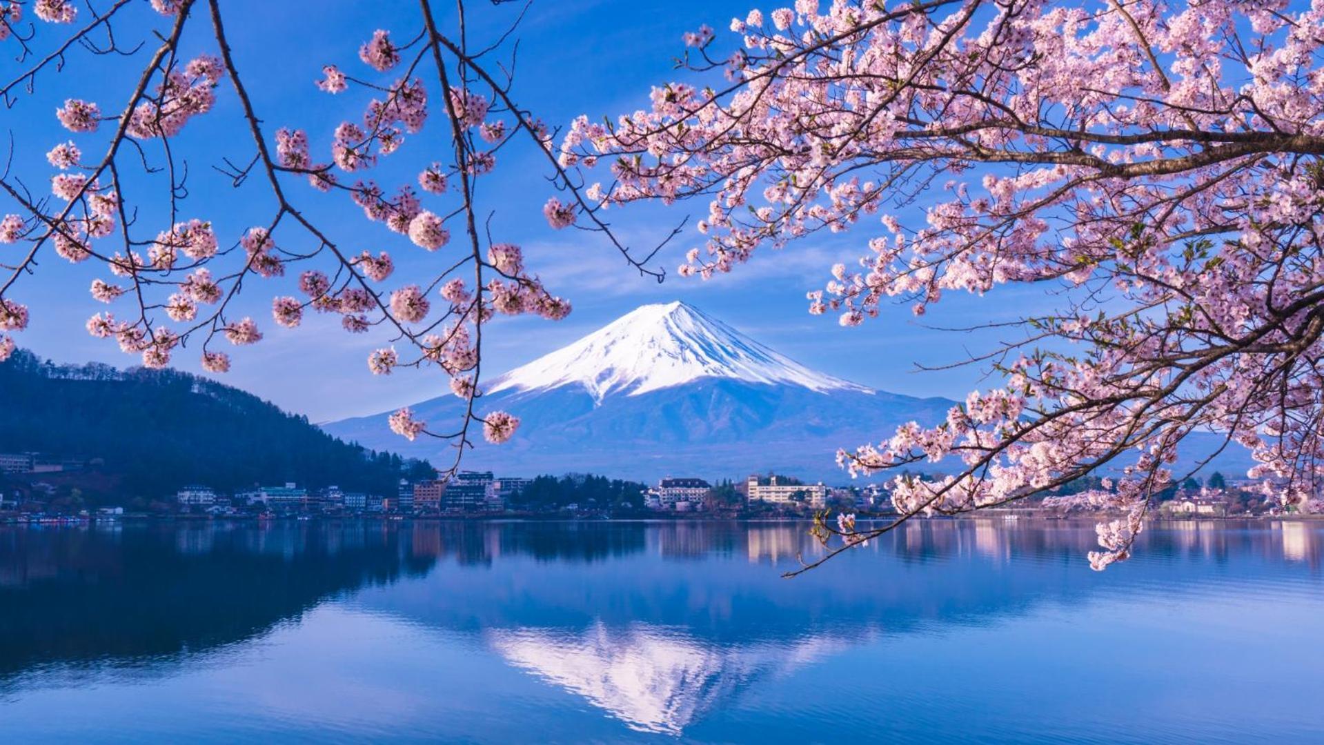 Mt Fuji Glamping Tourist Villa Kawaguchiko Fudzsikavagucsiko Kültér fotó