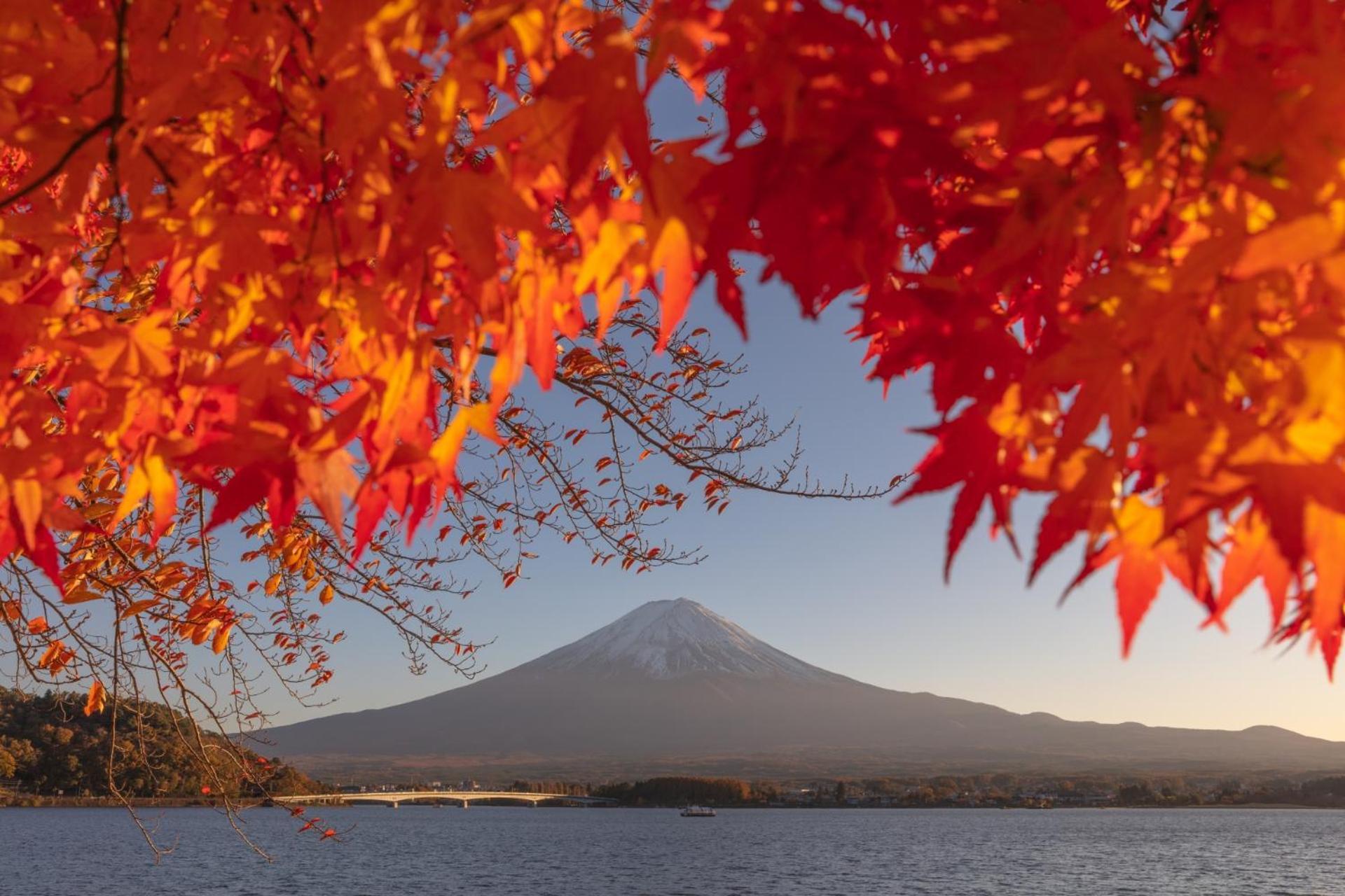 Mt Fuji Glamping Tourist Villa Kawaguchiko Fudzsikavagucsiko Kültér fotó