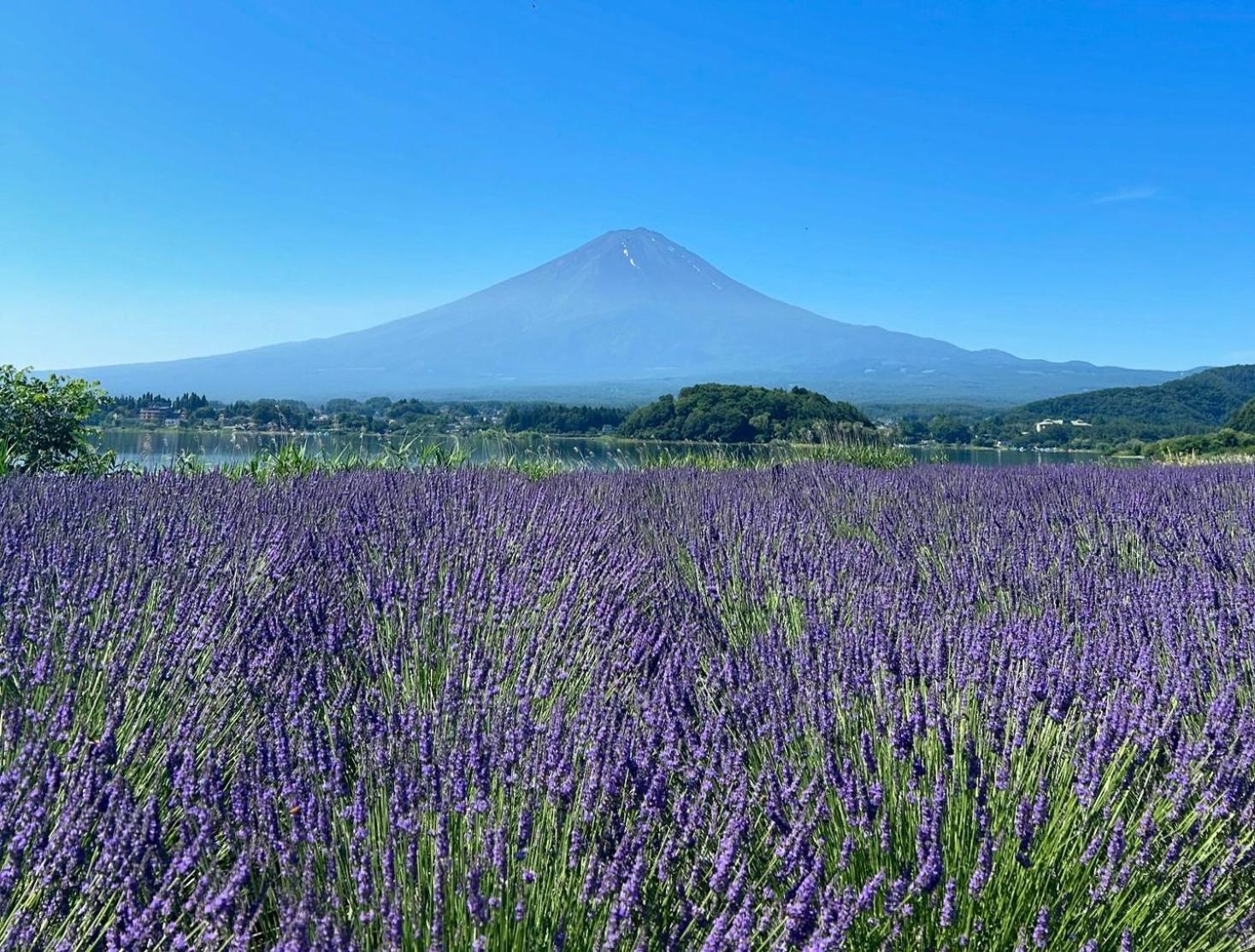 Mt Fuji Glamping Tourist Villa Kawaguchiko Fudzsikavagucsiko Kültér fotó